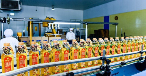 Tập đoàn KIDO công bố lợi nhuận 2020 đạt 418 tỷ, tăng trưởng 47,4%