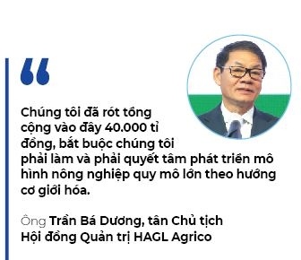 HAGL trong tay Thaco