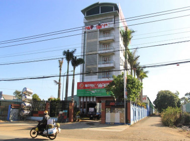 Bắt tổng giám đốc công ty trốn hơn 1,2 tỷ đồng tiền thuế