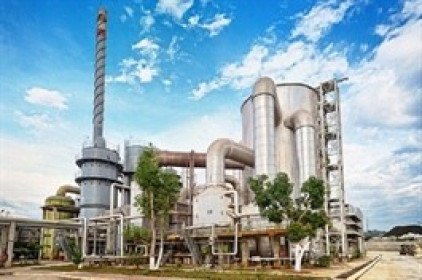 DGC báo lãi ròng năm 2020 hơn 900 tỷ đồng, tăng 60%