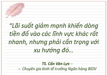 ‘Có sự dịch chuyển tiền từ ngân hàng sang chứng khoán nhưng chưa tạo rủi ro thanh khoản’