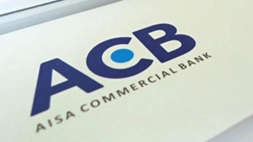 ACB lãi 9.600 tỉ đồng, vượt 25% kế hoạch năm 2020?
