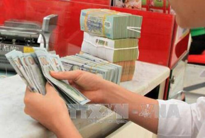 Bamboo Capital “rót” thêm khoảng 180 tỷ đồng vào Tracodi