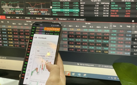 Một công ty xuất nhập khẩu đang “all in” cổ phiếu EIB