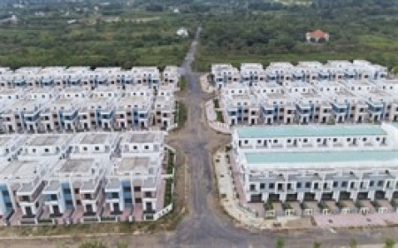 Lợi nhuận LDG giảm mạnh khi không có nguồn thu tài chính đột biến