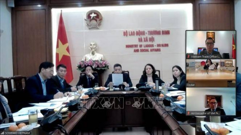 Đàm phán hợp tác lao động Việt Nam - Israel