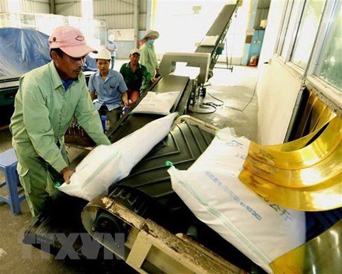 Năm 2021, cổ phiếu ngành lúa gạo có tăng trưởng như kỳ vọng?
