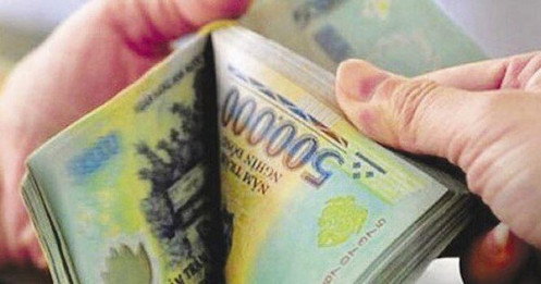 Kiện đòi chia tiền hoàn thuế đất, cổ đông cũ thua kiện Công ty cổ phần Dịch vụ thương mại Cà Mau