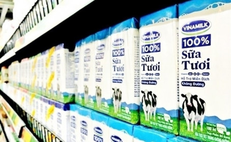 Nhiều tiền như “vua sữa”