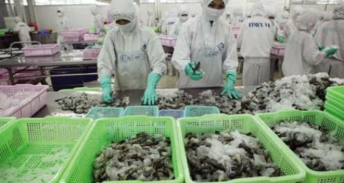 Kinh tế tiếp tục có dấu hiệu phục hồi