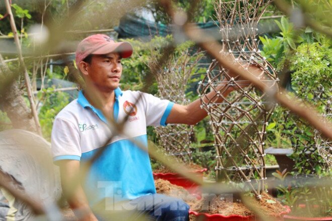 Chàng trai 9x uốn mai vàng thành lộc bình tiền triệu "cháy" hàng dịp Tết