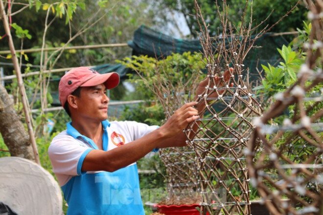 Chàng trai 9x uốn mai vàng thành lộc bình tiền triệu "cháy" hàng dịp Tết