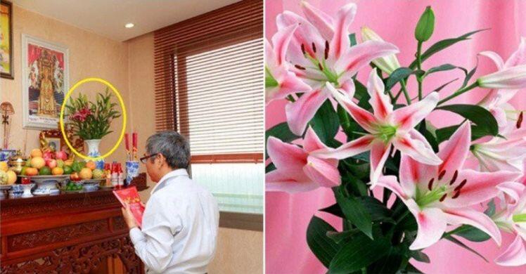 Chọn hoa đặt bàn thờ ngày Tết tránh loại này kẻo “mất lộc”