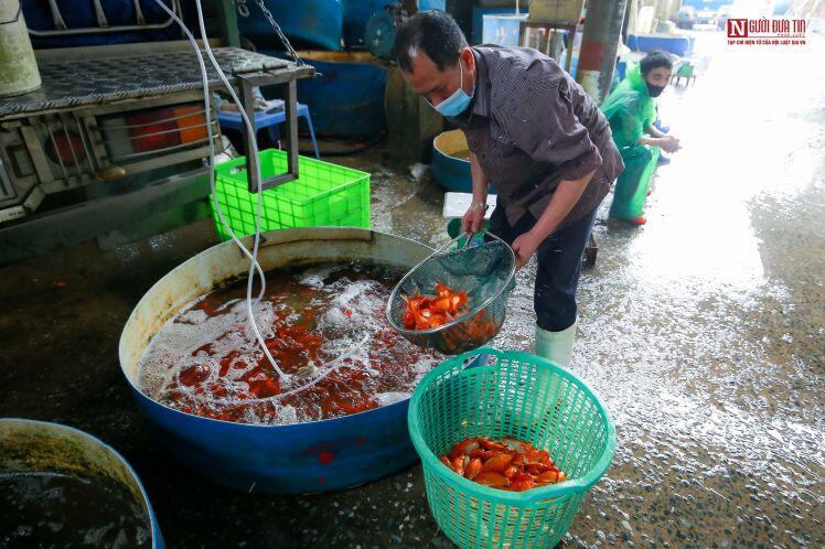 Thị trường cá chép phục vụ ông Công ông Táo ra sao?