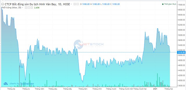 Belton Investment muốn bán hết cổ phiếu NVT