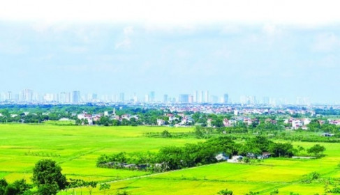 An Giang chuyển mục đích sử dụng hơn 70ha đất | Bất động sản