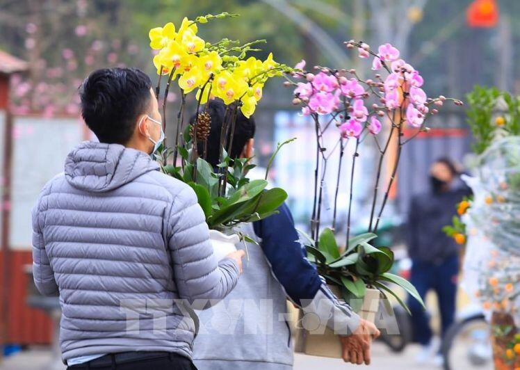 Thị trường hoa cây cảnh Tết đìu hiu: Tiểu thương thấp thỏm lo âu