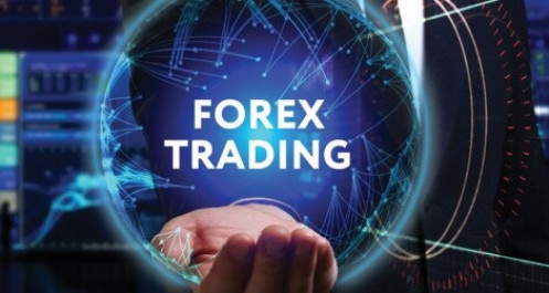 Nhiều gia đình mất Tết vì forex, tiền ảo, chứng khoán quốc tế