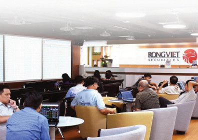 Chứng khoán Rồng Việt (VDS) sẽ huy động 700 tỷ đồng trái phiếu