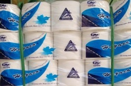 Nhà sản xuất giấy muốn đầu tư dự án điện gió 4 ngàn tỷ