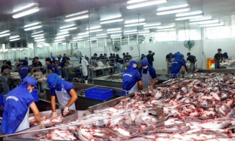 Campuchia hủy lệnh cấm nhập khẩu 4 loại cá da trơn