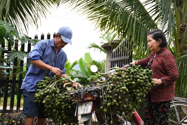 Cau Tết tăng giá "chóng mặt", nông dân kiếm tiền triệu mỗi ngày