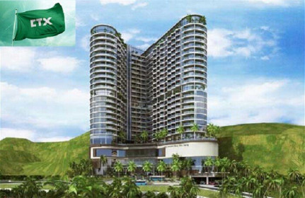Không tách bạch chức danh chủ tịch và CEO, lãnh đạo CTX bị phạt 60 triệu