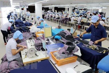 Doanh nghiệp Việt kỳ vọng phục hồi năm 2021-Bài 2: Chủ động nắm bắt cơ hội