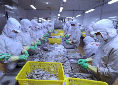Doanh nghiệp Việt kỳ vọng phục hồi năm 2021 - Bài cuối: Chủ động nắm bắt cơ hội
