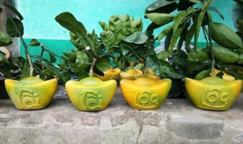 Cúng Tết bưởi tài lộc thỏi vàng 1 triệu/cặp: Dân Thủ đô cầu phú quý
