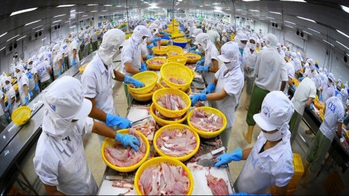 Xuất khẩu thủy sản bật tăng trở lại trước thềm năm mới Tân Sửu 2021