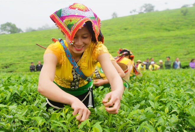 Bộ trưởng Nguyễn Chí Dũng: "Không thể một lần nữa lại đi sau..."