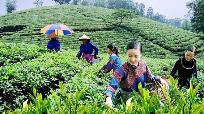 Bộ trưởng Nguyễn Chí Dũng: "Không thể một lần nữa lại đi sau..."