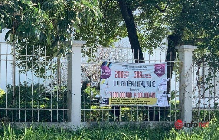 Sợ thiếu nhân công sau Tết, nhiều doanh nghiệp muốn tuyển hàng nghìn người