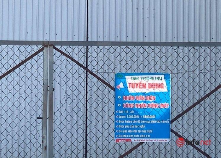 Sợ thiếu nhân công sau Tết, nhiều doanh nghiệp muốn tuyển hàng nghìn người