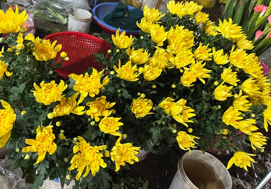 Hà Nội: Dịch vụ ăn uống tăng giá đầu năm mới