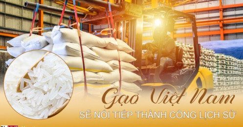 Gạo Việt Nam sẽ nối tiếp thành công lịch sử