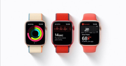 Bao nhiêu người đang đeo đồng hồ Apple?