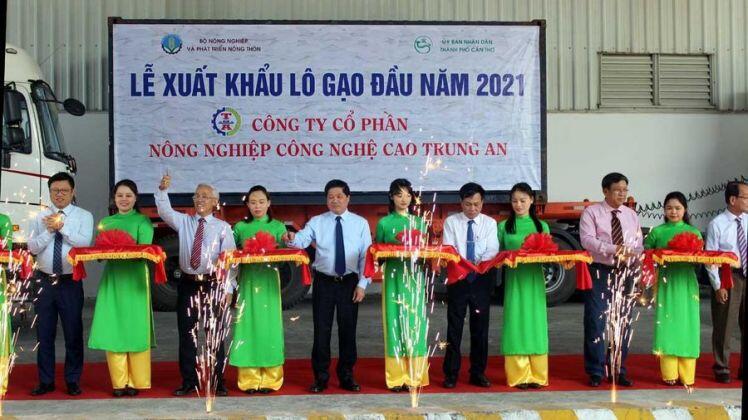 Kỳ tích “hạt vàng” Việt Nam
