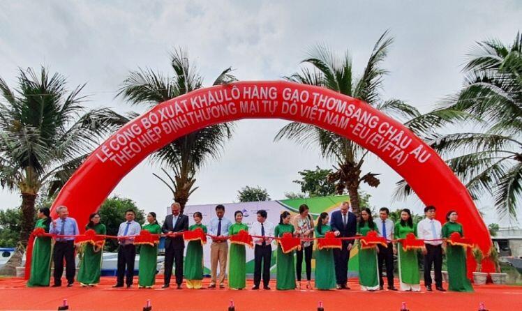 Kỳ tích “hạt vàng” Việt Nam