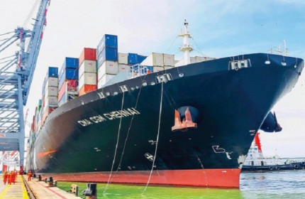 Cảng biển Việt Nam trỗi dậy hút tàu 'khủng'