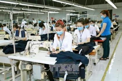 Quy định chi tiết về điều kiện lao động và quan hệ lao động
