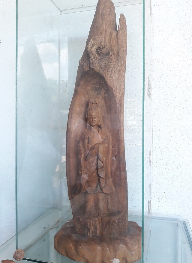 Bị nói 'khùng' vì bỏ nghề giáo lên đồi trồng dó bầu, khi thu tiền tỷ thì...