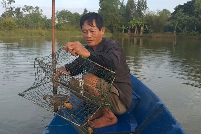 Giá bán tăng cao không tưởng, đặc sản cua Cà Mau "thắng đậm" vụ Tết