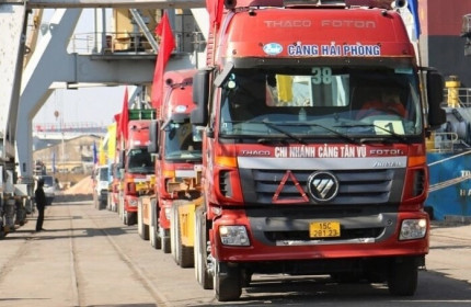Năm mới, hàng loạt tàu lớn 'xông đất' cảng biển
