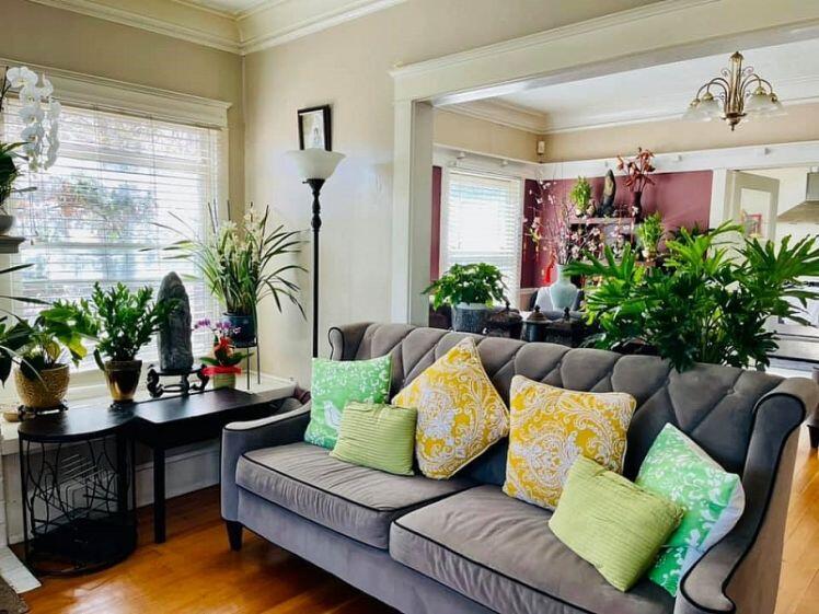 Biệt thự có 112 ô cửa của Thúy Nga ở Mỹ "khoác áo mới" trong dịp Tết
