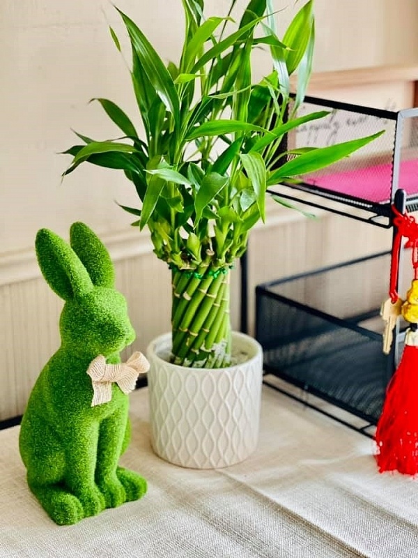 Biệt thự có 112 ô cửa của Thúy Nga ở Mỹ "khoác áo mới" trong dịp Tết