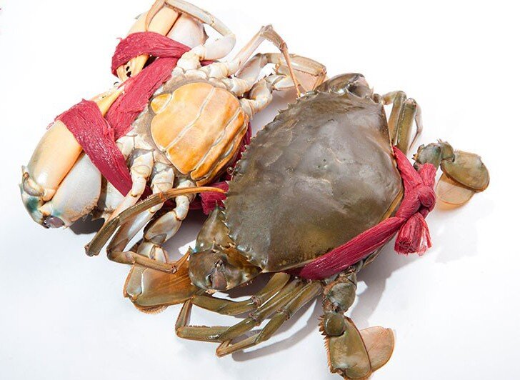 Cua biển Cà Mau bổ béo gì... giá 1 triệu đồng/kg?