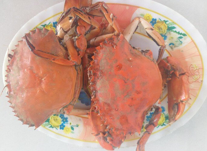 Cua biển Cà Mau bổ béo gì... giá 1 triệu đồng/kg?