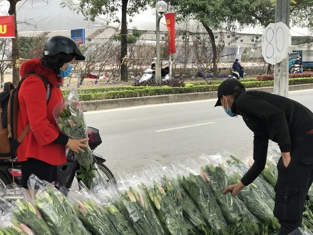 Hà Nội: Hoa tươi "đổ đống" đầy vỉa hè, nhà vườn bất lực nhìn giá "lao dốc"